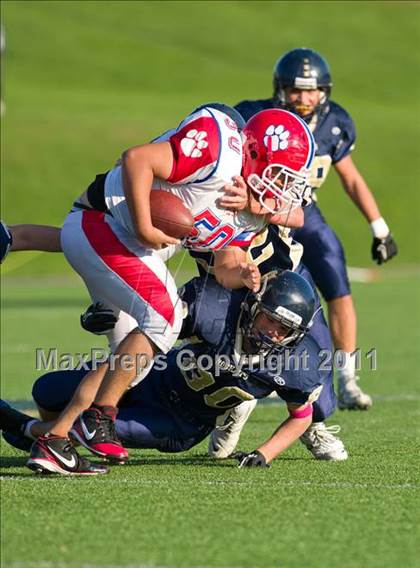 Thumbnail 3 in Milton @ Needham photogallery.