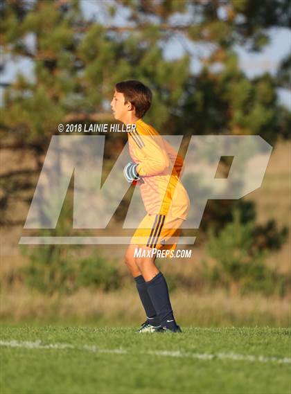Thumbnail 3 in Bemidji vs Denfield photogallery.