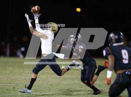 Thumbnail 3 in Verrado @ Desert Edge photogallery.