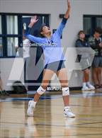 Photo from the gallery "Braden River @ Out-of-Door Academy"