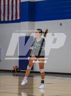 Photo from the gallery "Braden River @ Out-of-Door Academy"