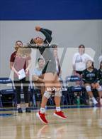 Photo from the gallery "Braden River @ Out-of-Door Academy"