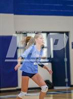 Photo from the gallery "Braden River @ Out-of-Door Academy"