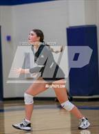 Photo from the gallery "Braden River @ Out-of-Door Academy"