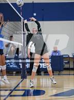 Photo from the gallery "Braden River @ Out-of-Door Academy"