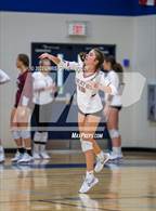 Photo from the gallery "Braden River @ Out-of-Door Academy"