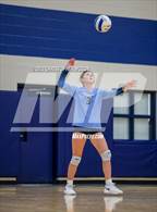 Photo from the gallery "Braden River @ Out-of-Door Academy"