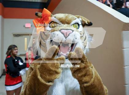 Thumbnail 3 in Woden @ Gary photogallery.