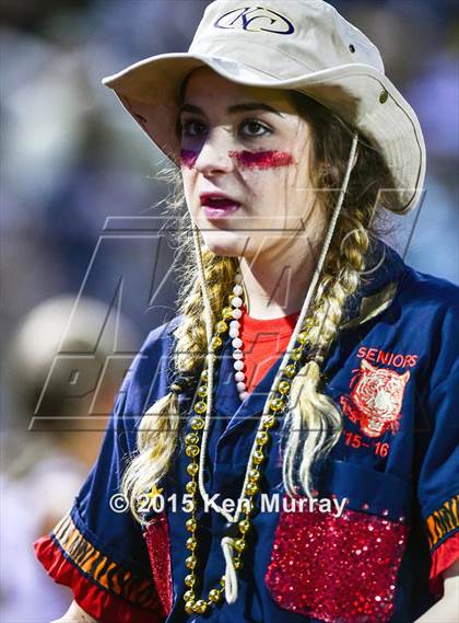 Thumbnail 1 in Klein vs Klein Collins photogallery.