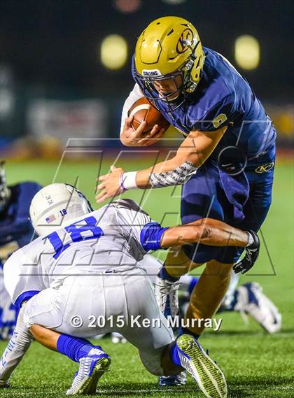 Thumbnail 2 in Klein vs Klein Collins photogallery.