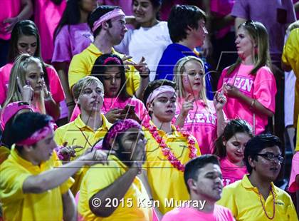 Thumbnail 1 in Klein vs Klein Collins photogallery.