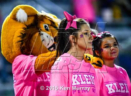 Thumbnail 3 in Klein vs Klein Collins photogallery.