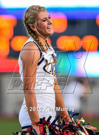 Thumbnail 2 in Klein vs Klein Collins photogallery.