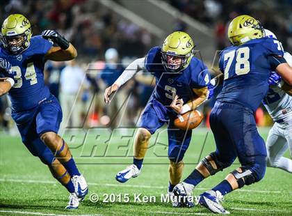 Thumbnail 2 in Klein vs Klein Collins photogallery.