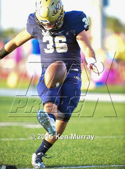 Thumbnail 3 in Klein vs Klein Collins photogallery.