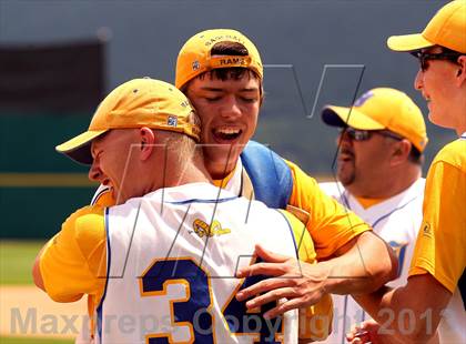 Thumbnail 1 in Johnsonburg vs. Canton (PIAA Class A Final) photogallery.