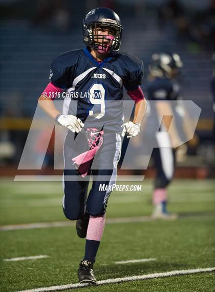 Thumbnail 2 in Nanuet @ Putnam Valley photogallery.