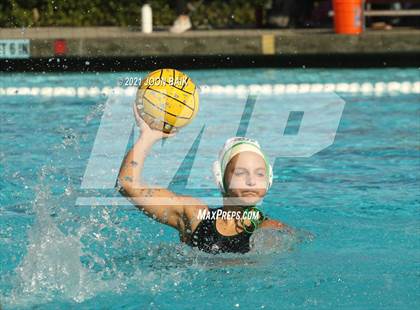 Thumbnail 3 in Archie Williams @ Amador Valley (Tri-Valley Invitational) photogallery.