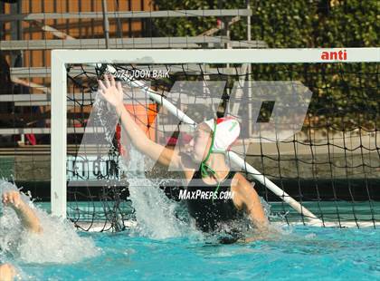 Thumbnail 1 in Archie Williams @ Amador Valley (Tri-Valley Invitational) photogallery.
