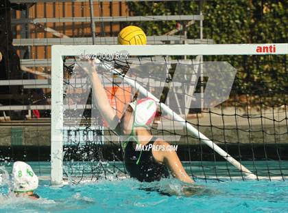 Thumbnail 3 in Archie Williams @ Amador Valley (Tri-Valley Invitational) photogallery.