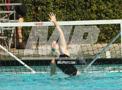 Thumbnail 1 in Archie Williams @ Amador Valley (Tri-Valley Invitational) photogallery.