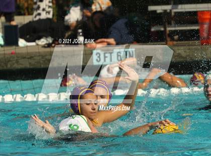 Thumbnail 2 in Archie Williams @ Amador Valley (Tri-Valley Invitational) photogallery.