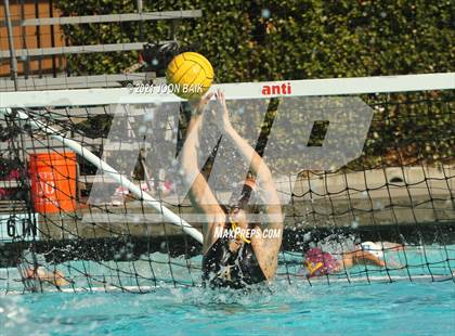 Thumbnail 2 in Archie Williams @ Amador Valley (Tri-Valley Invitational) photogallery.