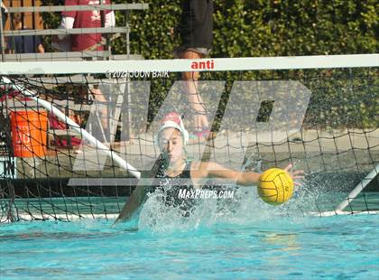 Thumbnail 1 in Archie Williams @ Amador Valley (Tri-Valley Invitational) photogallery.