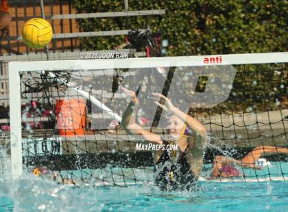 Thumbnail 1 in Archie Williams @ Amador Valley (Tri-Valley Invitational) photogallery.