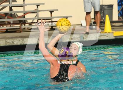 Thumbnail 3 in Archie Williams @ Amador Valley (Tri-Valley Invitational) photogallery.