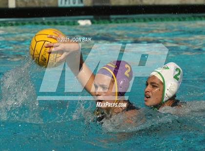Thumbnail 2 in Archie Williams @ Amador Valley (Tri-Valley Invitational) photogallery.