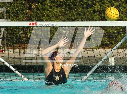 Thumbnail 1 in Archie Williams @ Amador Valley (Tri-Valley Invitational) photogallery.