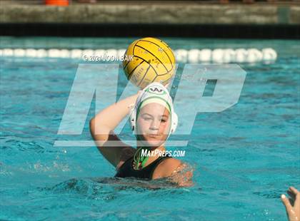 Thumbnail 1 in Archie Williams @ Amador Valley (Tri-Valley Invitational) photogallery.