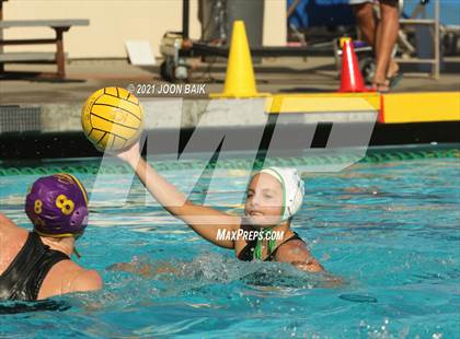 Thumbnail 2 in Archie Williams @ Amador Valley (Tri-Valley Invitational) photogallery.