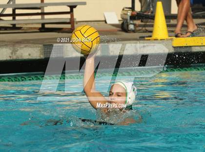 Thumbnail 2 in Archie Williams @ Amador Valley (Tri-Valley Invitational) photogallery.
