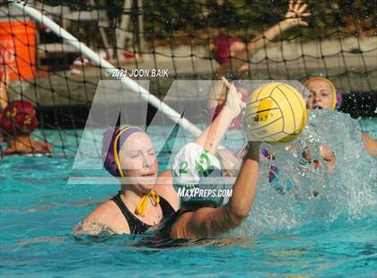 Thumbnail 1 in Archie Williams @ Amador Valley (Tri-Valley Invitational) photogallery.