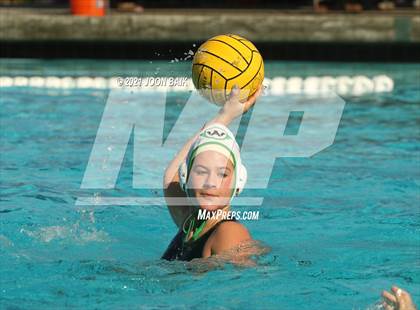 Thumbnail 3 in Archie Williams @ Amador Valley (Tri-Valley Invitational) photogallery.