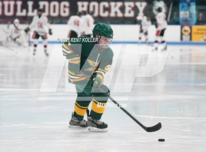 Thumbnail 1 in Grosse Pointe North @ Romeo photogallery.