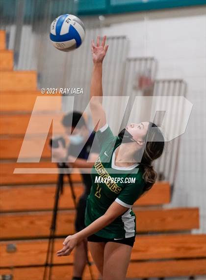 Thumbnail 2 in Monterey Trail @ Sheldon photogallery.