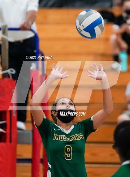 Thumbnail 2 in Monterey Trail @ Sheldon photogallery.
