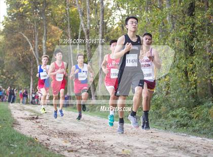 Thumbnail 3 in Joe Halm Alexandria City Cross Country Championships photogallery.