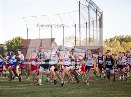 Thumbnail 3 in Joe Halm Alexandria City Cross Country Championships photogallery.