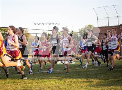 Thumbnail 1 in Joe Halm Alexandria City Cross Country Championships photogallery.