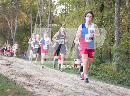 Thumbnail 1 in Joe Halm Alexandria City Cross Country Championships photogallery.