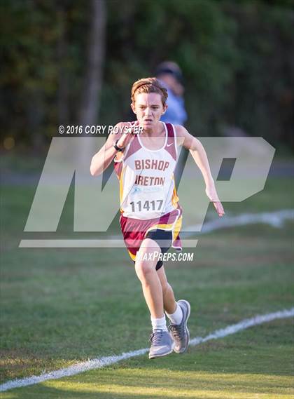Thumbnail 3 in Joe Halm Alexandria City Cross Country Championships photogallery.