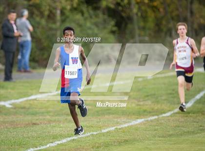 Thumbnail 1 in Joe Halm Alexandria City Cross Country Championships photogallery.