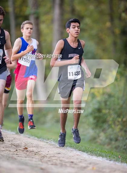 Thumbnail 3 in Joe Halm Alexandria City Cross Country Championships photogallery.