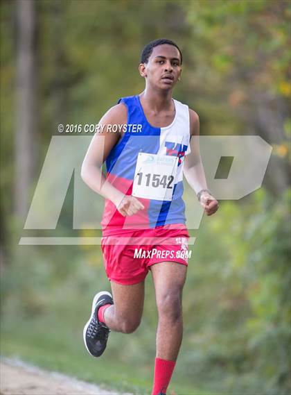 Thumbnail 2 in Joe Halm Alexandria City Cross Country Championships photogallery.