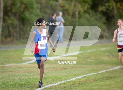 Thumbnail 2 in Joe Halm Alexandria City Cross Country Championships photogallery.