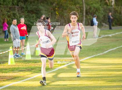 Thumbnail 1 in Joe Halm Alexandria City Cross Country Championships photogallery.